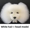 White hair headmodel
