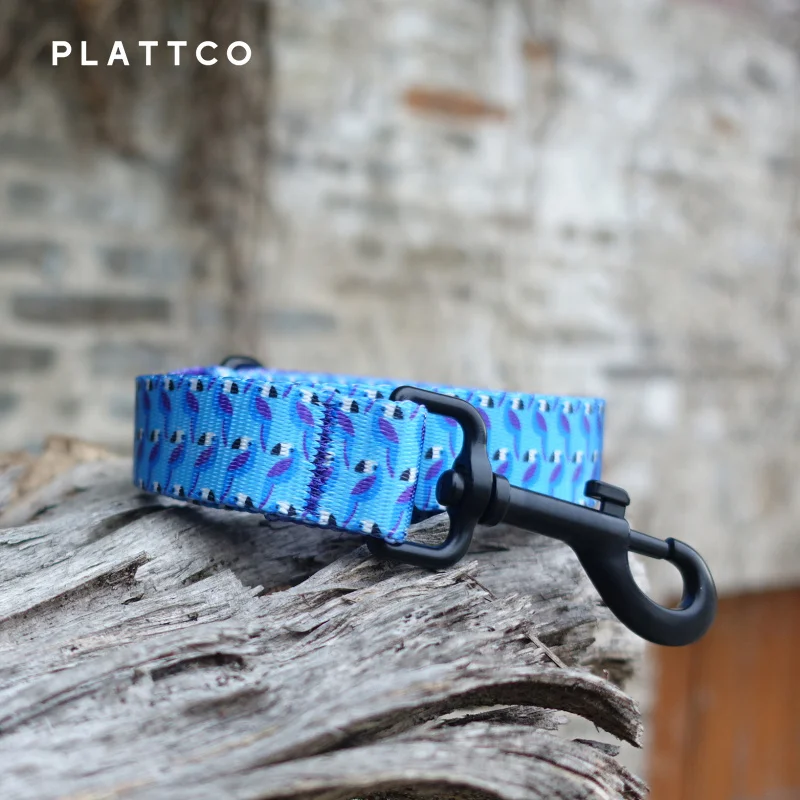 PLATTCO Correa para mascotas personalizada AZUL TOUCAN para perros pequeños, medianos y grandes para caminar todo tipo de perros 5 tamaños PDL315 - imagen 2