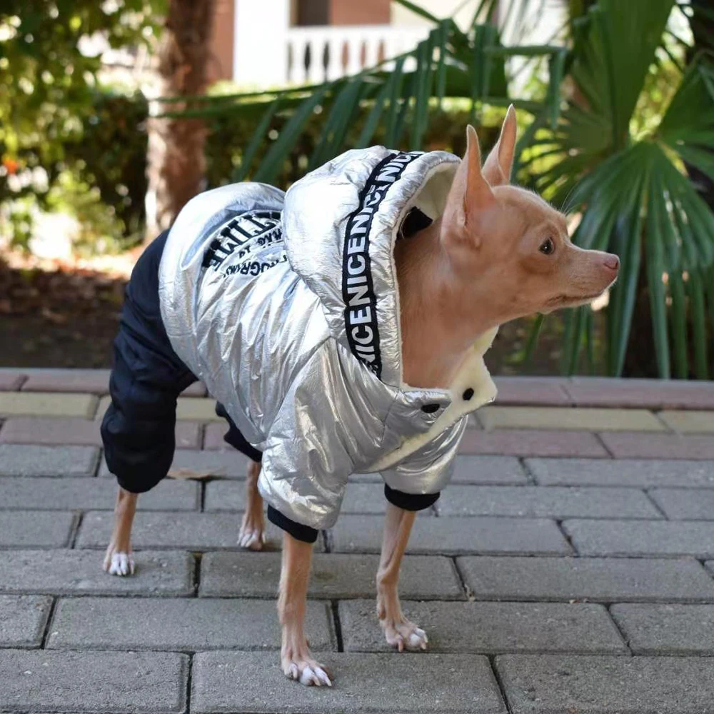 Chaqueta de plumón con forro polar para perros pequeños, ropa de cachorro plateada, traje de cuatro patas para Yorkshire, Invierno