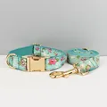 collar and leash set