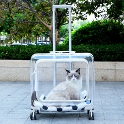 Transportín transparente para gatos y perros – Bolso de viaje