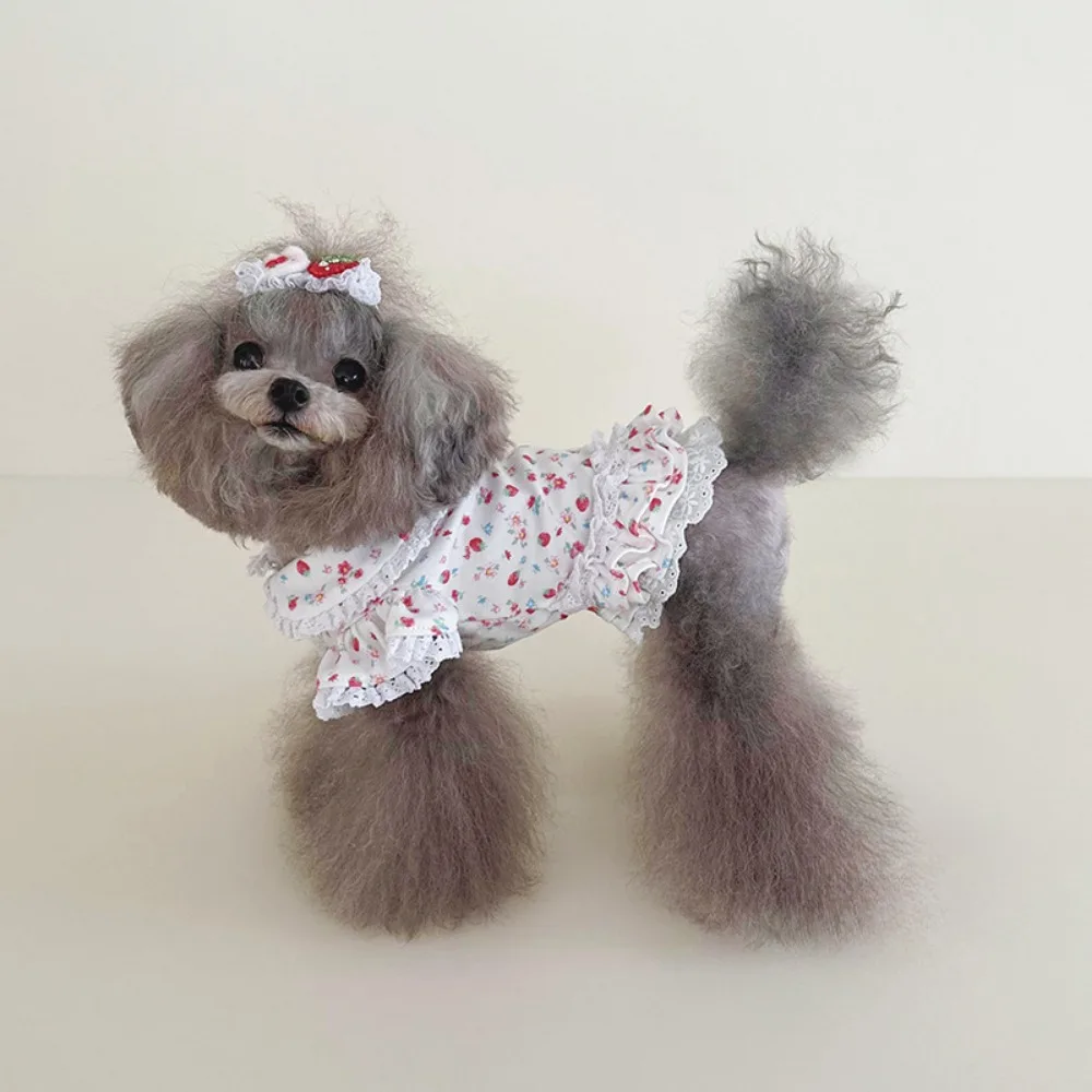 Top de manga voladora de encaje Floral para mascotas, falda de princesa con Base de manga voladora de encaje Floral de fresa para primavera y otoño, ropa para cachorros - imagen 4