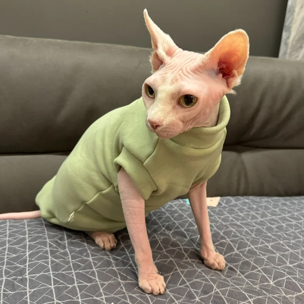 Chaleco de vellón verde de manga corta para Sphynx Cat Sudadera de invierno suave y cálida para gatitos Abrigo rosa grueso para Devon Rex en otoño - imagen 3