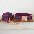 Dog Collar Leash Set