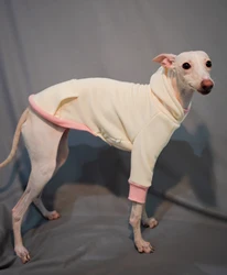 Sudadera CON CAPUCHA DE Galgo Italiano, Whippet, sudadera de invierno de algodón, Galaxia italiana, ropa para perros pequeños y medianos