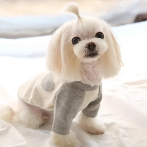 Otoño e Invierno Pet Love Sudadera con capucha Teddy Yorkshire Camisa inferior Camiseta para perros pequeños Camiseta sin mangas cálida Ropa para perros pequeños - imagen 4