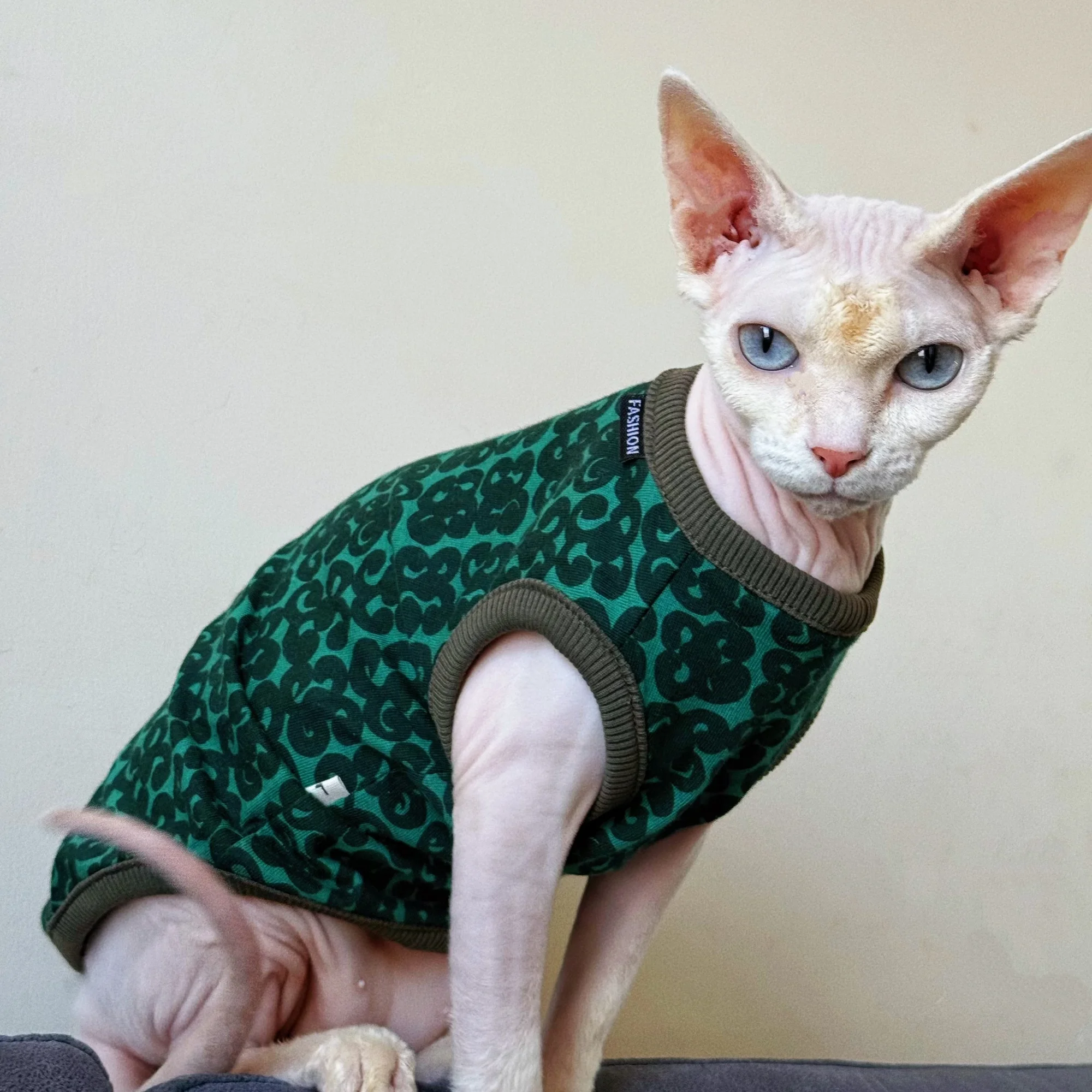 Chaleco verde de algodón para gatos leopardo Devon Rex y Sphynx - imagen 4