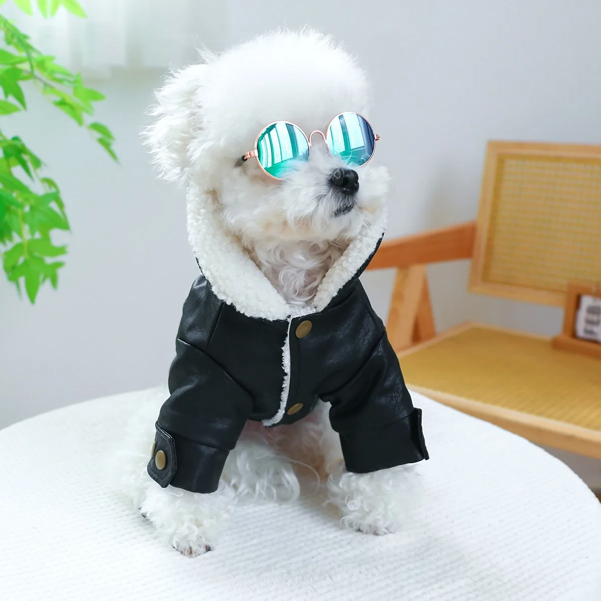 Ropa de cuero de gamuza para perros, chaqueta cálida de algodón grueso de invierno para cachorros pequeños y medianos, ropa personalizada para gatos de días fríos - imagen 5
