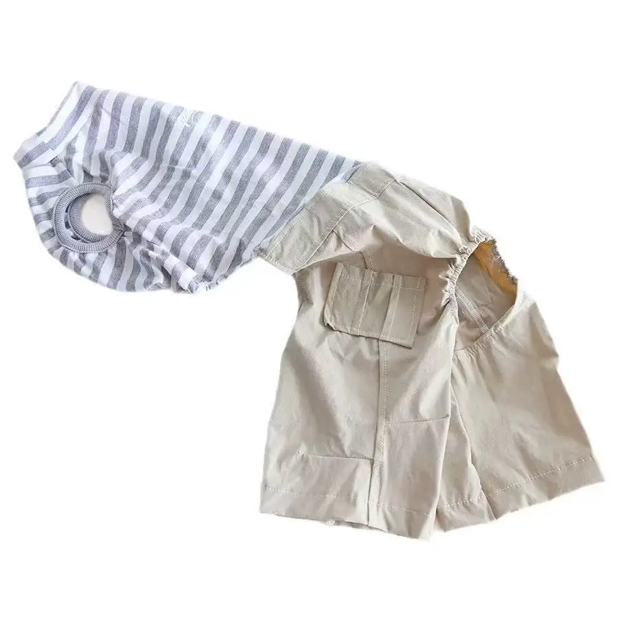 Mono de rayas algodón para Whippet y Galgo Italiano – Ropa primavera - imagen 3