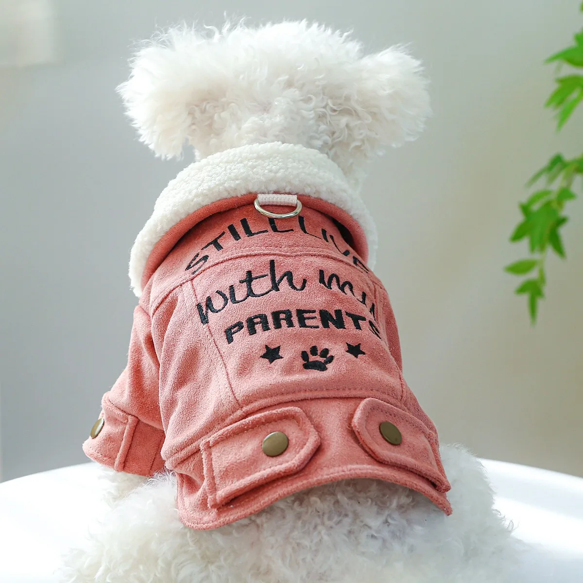 Ropa de cuero de gamuza para perros, chaqueta cálida de algodón grueso de invierno para cachorros pequeños y medianos, ropa personalizada para gatos de días fríos