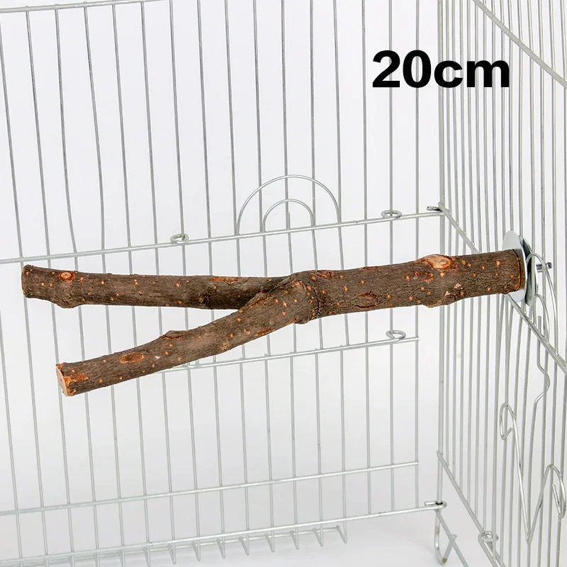 20cm