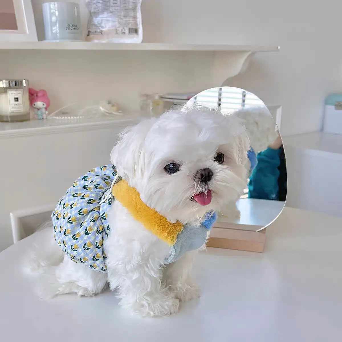 INS falda de calabaza cálida para mascotas, abrigo a cuadros, falda de tulipán para mascotas pequeñas, cachorro, gato, oso de peluche de Pomerania, vestido de otoño e invierno - imagen 2