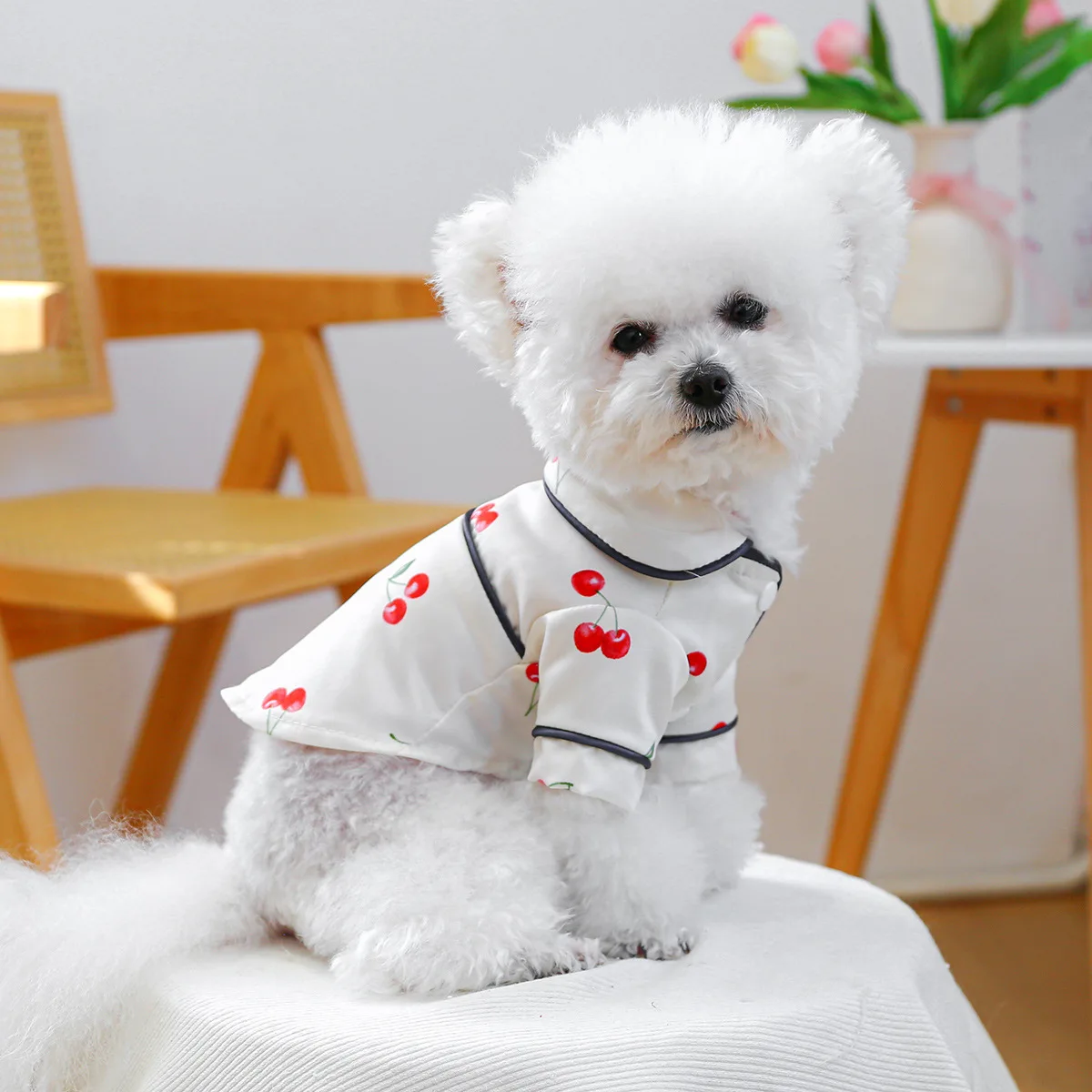 Camiseta con cuello para mascotas, bonita camisa de cereza, camisa Base para perros, pijamas de cereza, ropa para perros pequeños, perros pequeños de primavera - imagen 2