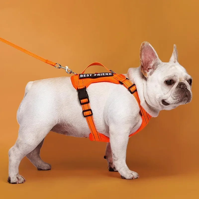 Correa para perro, estilo chaleco, arnés de pecho para mascotas con cuerda de tracción, adecuado para perros pequeños y medianos, cuerda para caminar para mascotas al aire libre - imagen 5