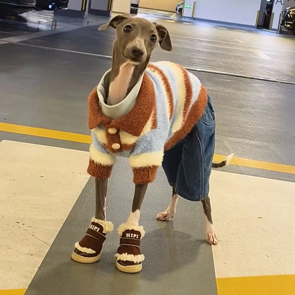 Suéter térmico galgo italiano y Whippet – Abrigo invierno con botones