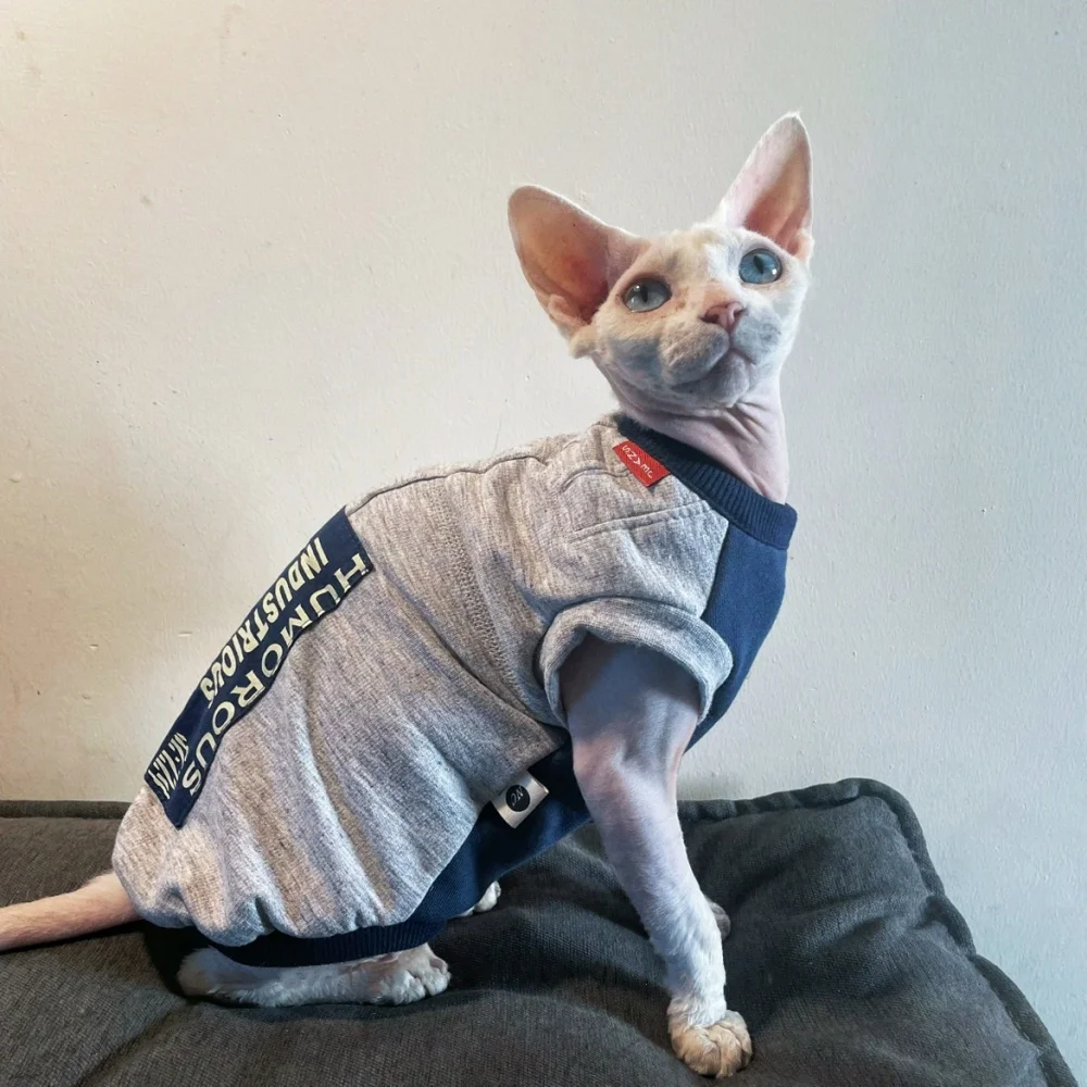 Sudadera de tela de trabajo de parche de moda para gatos machos en primavera azul primavera Abrigo gris Sphynx Cat Camiseta de algodón para gatitos - imagen 3