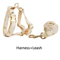 harness leash