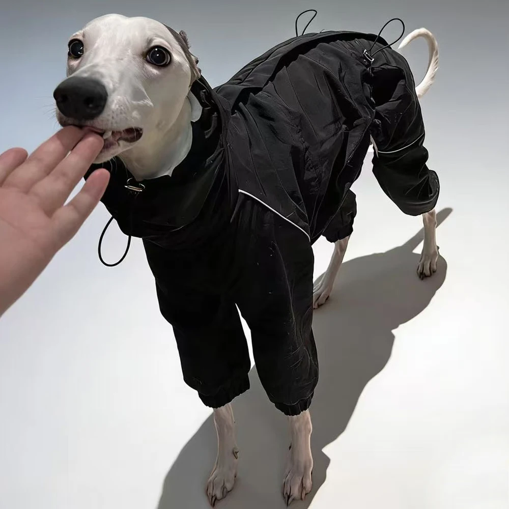 Chaqueta negra, sudadera verde para galgo italiano cómodo y Whippet