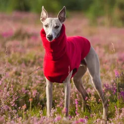 Chaleco de lana para perros Whippet y Galgo – Cuello alto invierno