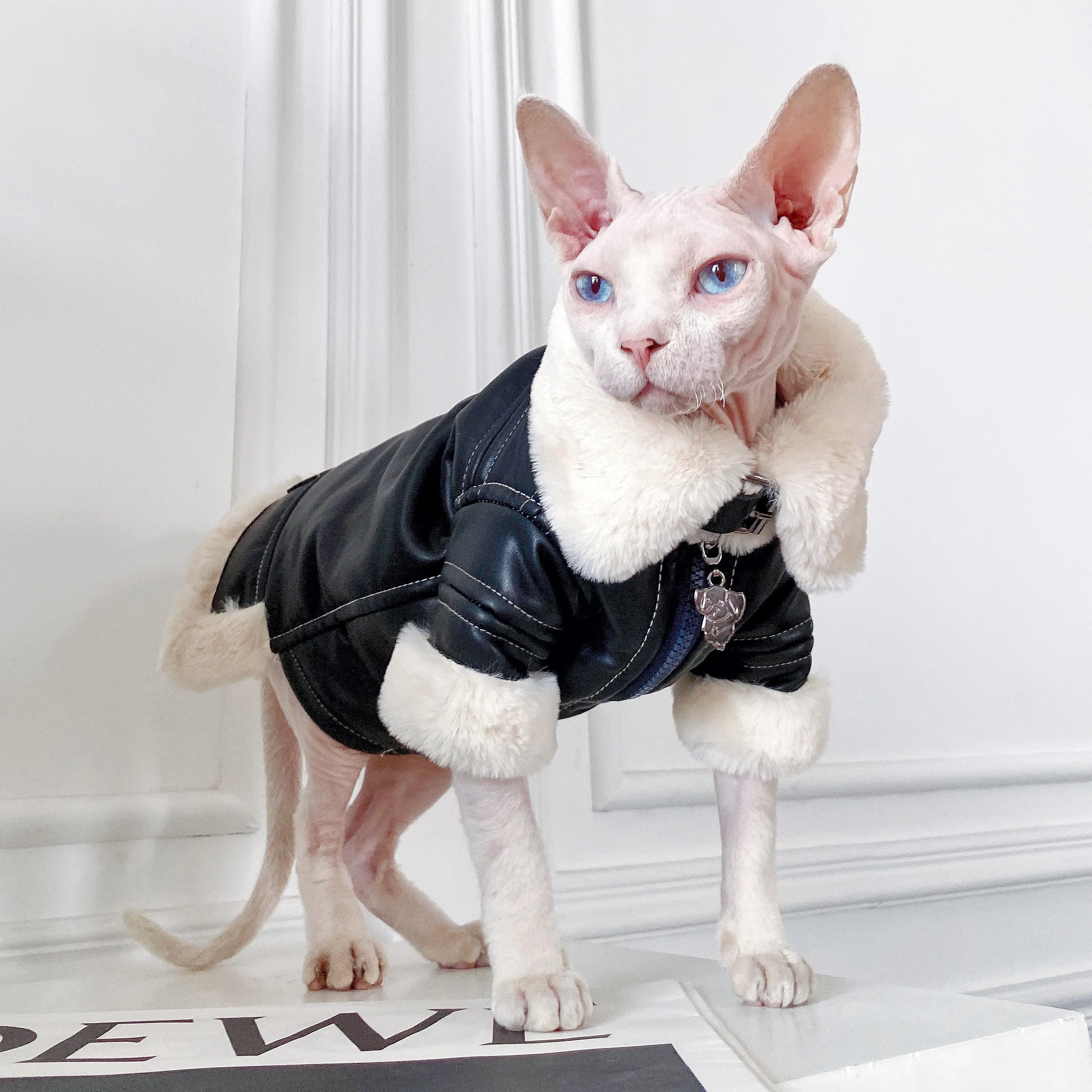 Moda Sphynx gato chaqueta de motociclista de cuero abrigo de piel ropa de gato gatito disfraces cálidos de lujo para Sphinx Devon gato ropa para gato - imagen 4