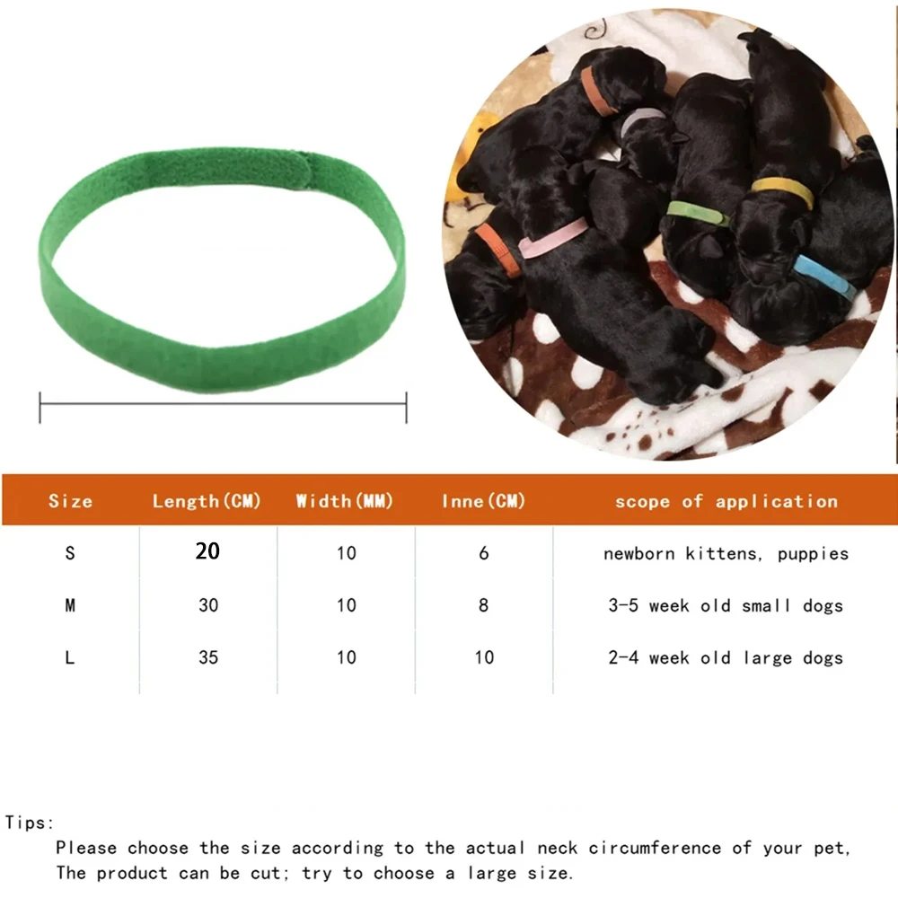 12 Uds. Collares para mascotas, Collar de identificación con gancho y bucle para perros y gatos, clasificación de identificación para cachorros y gatitos, accesorios para perros pequeños - imagen 2
