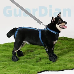 Botas protectoras impermeables para perros