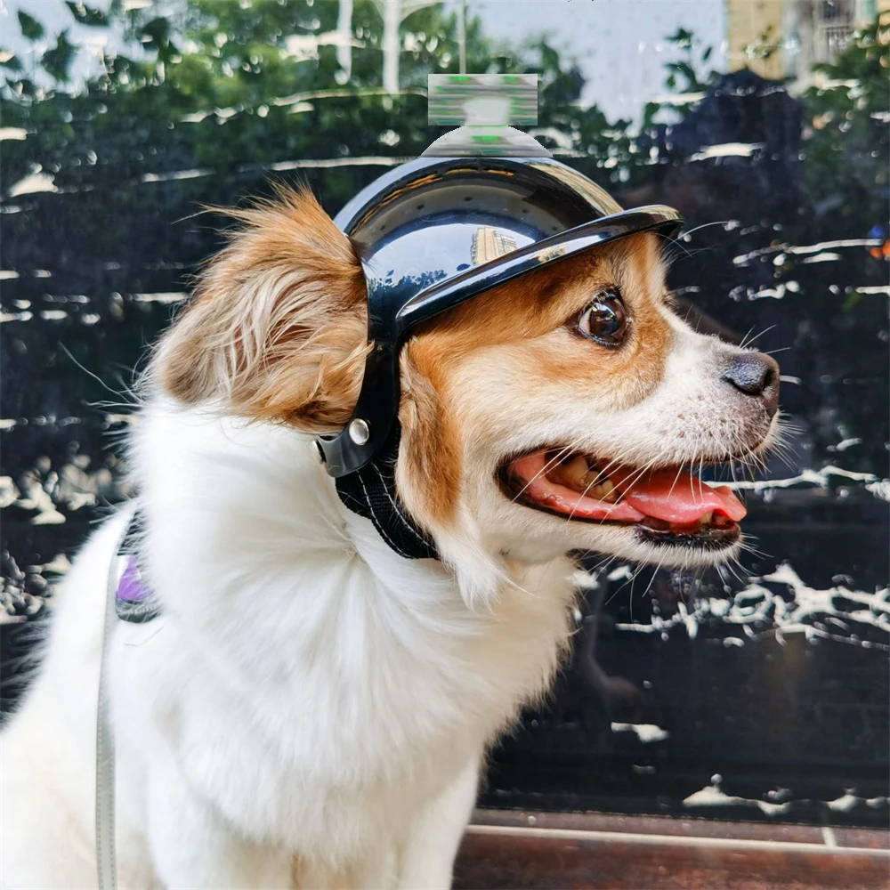 หมวกกันน็อคสุนัข 2 ชิ้นและแมลงปอไม้ไผ่/แว่นตาอุปกรณ์เสริมสําหรับสัตว์เลี้ยงหมวกกันน็อคสุนัขแบบปรับได้สําหรับสุนัขขนาดกลางขนาดเล็กขี่กลางแจ้ง - imagen 2