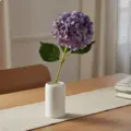Autumn Purple