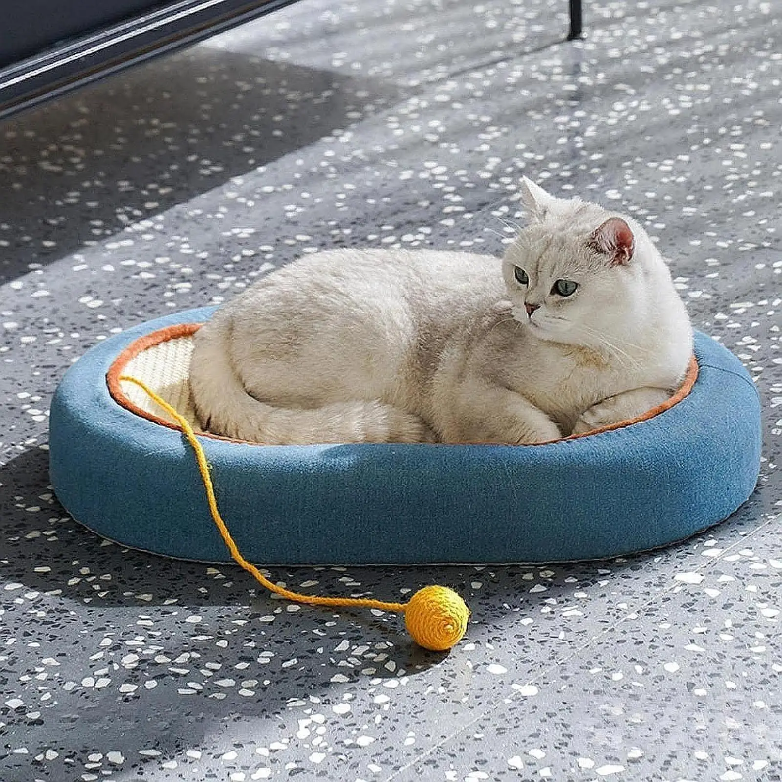 Tablero rascador para gatos, Protector de muebles duradero para mascotas, sofá para gatitos, suministros para gatos de interior, 이 크래래