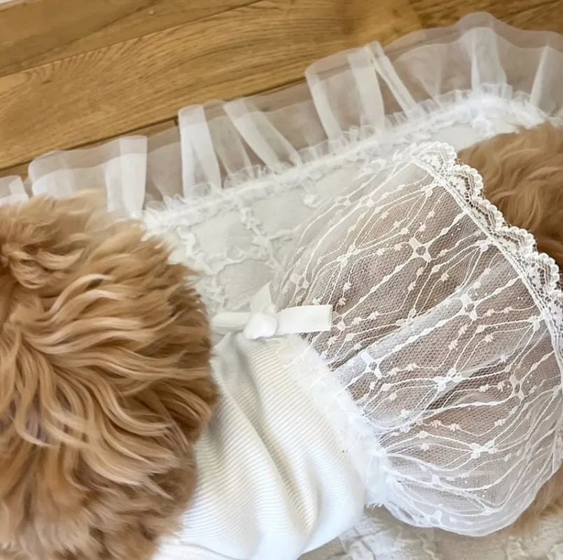 Faldas de moda para perros, vestidos de encaje para mascotas, vestido de princesa, vestidos de verano para perros, chaleco negro para perros, vestido para gatos, ropa para mascotas Chihuahua - imagen 3