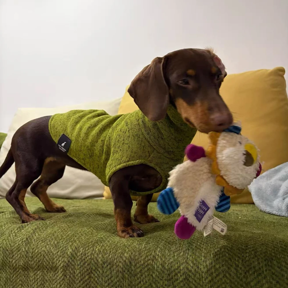 Abrigo perro salchicha verde cuello alto – Chaqueta cálida y elegante - imagen 4