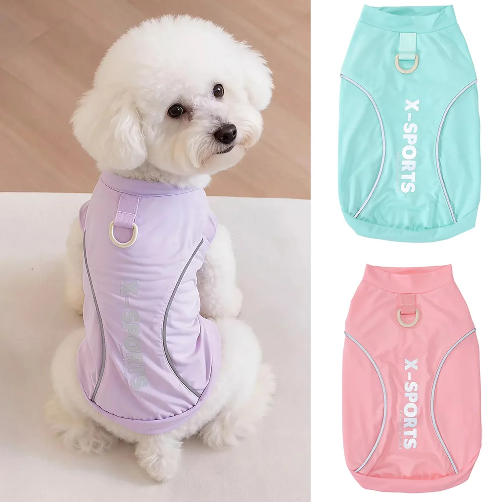 Camiseta reflectante para perro Schnauzer mini con anilla D
