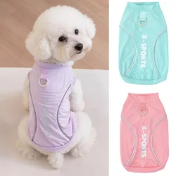 Camiseta reflectante para perro Schnauzer mini con anilla D