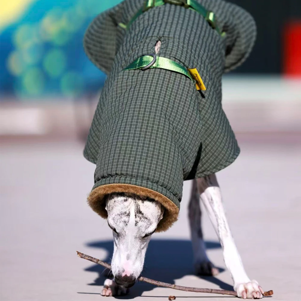 Capa verde de invierno para Whippet y Galgo Italiano – Abrigo cálido - imagen 4