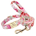 Pink Collar Leash