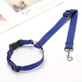 Blue Leashes