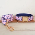 Dog Collar Leash Set