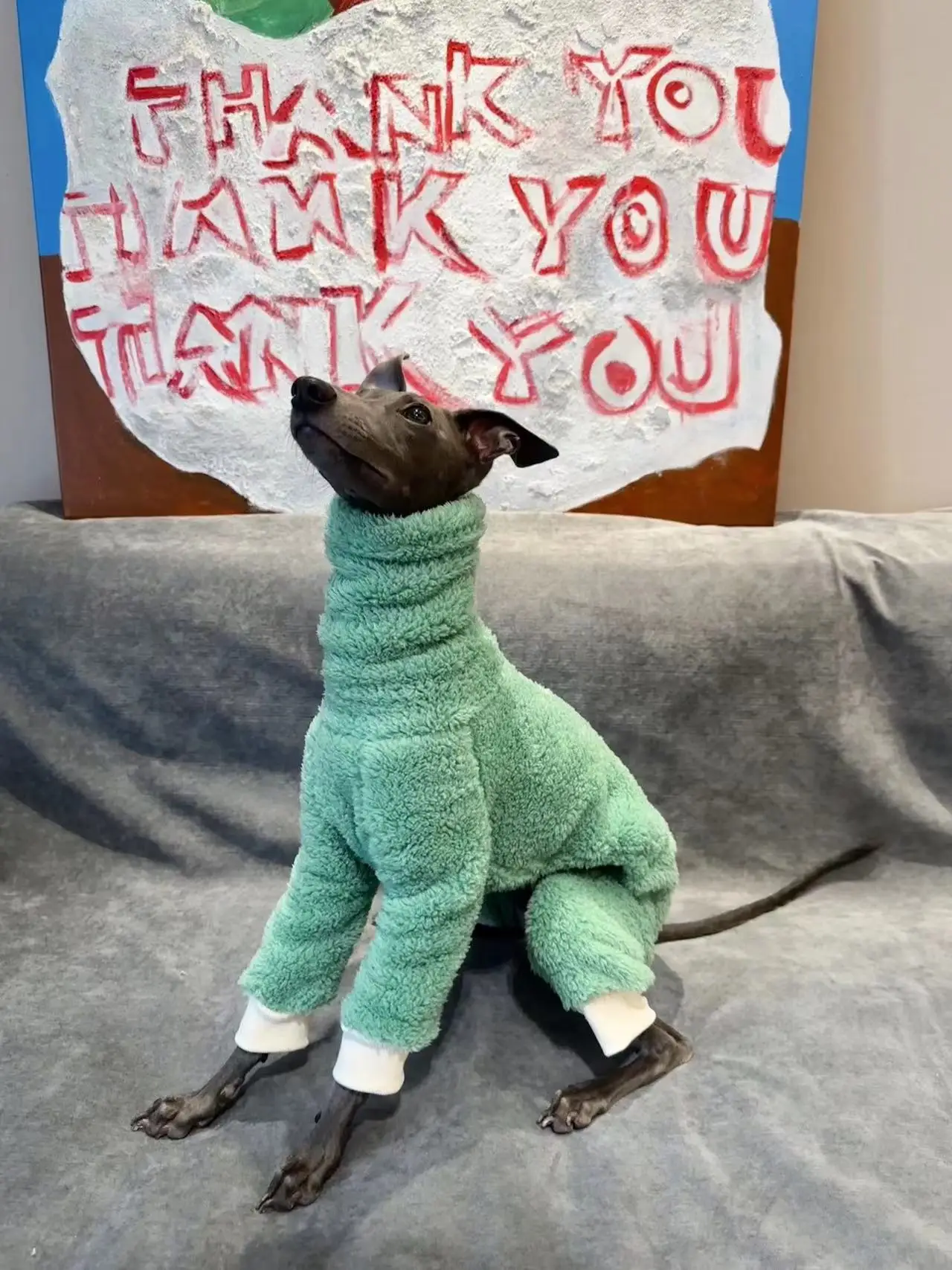 Ropa de lana de doble cara para perro, abrigo cálido de Galgo para mascotas, ropa verde para cachorros, Invierno - imagen 5