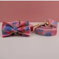 Bow Collar Leash Set