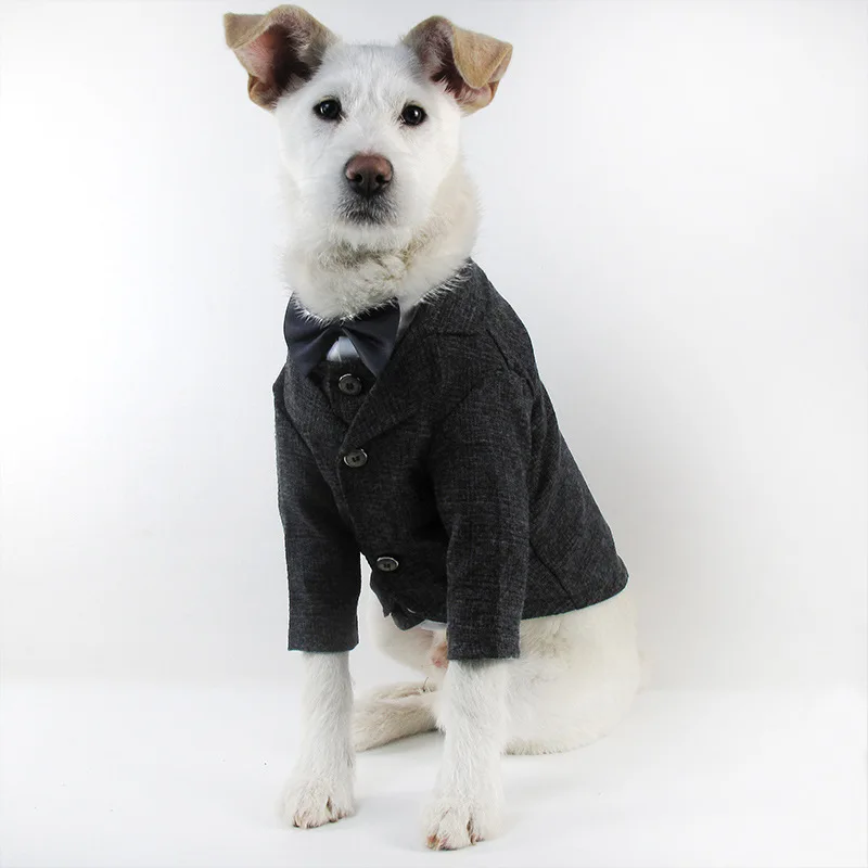 Abrigo para perro toro francés, chaleco para fiesta de boda, vestido de primavera, chaleco para perro, trajes para perros pequeños, medianos y grandes de diseñador de lujo, ropa de caballero - imagen 2