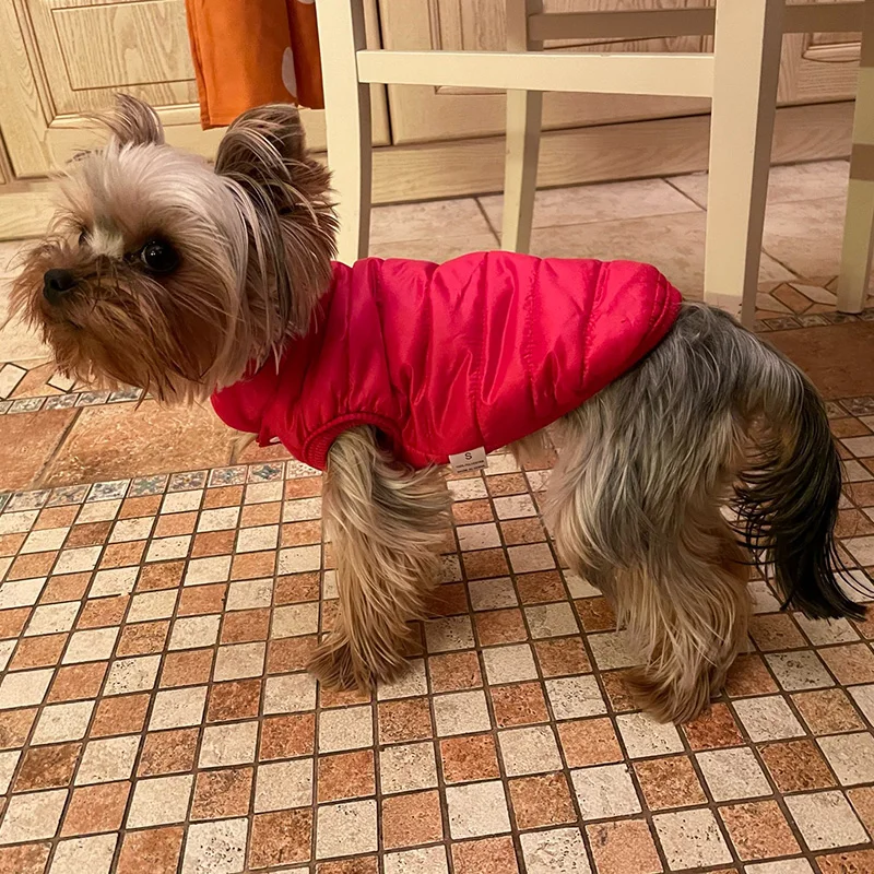 Ropa cálida de invierno para perros, chaqueta para cachorros, abrigos, Chihuahua, trajes de Bulldog Francés, chaleco, ropa Pug shih tzu, suministros para perros - imagen 4