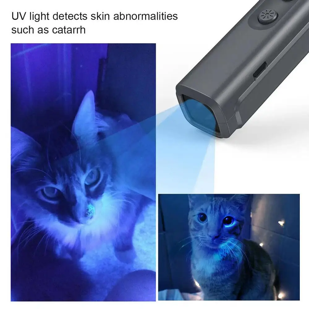 Un gato con una luz azul que brilla en