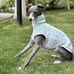 Chaleco sin mangas transpirable para Whippet y Greyhound – Verano
