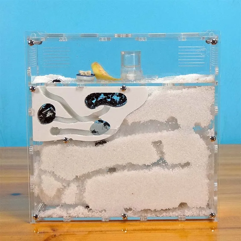 Divertida fábrica de hormigas, casa de hormigas, castillo, insectos, terrario, jaula para hormigas, caja de insectos, guardería, herramienta educativa ecológica para niños S21 - imagen 2