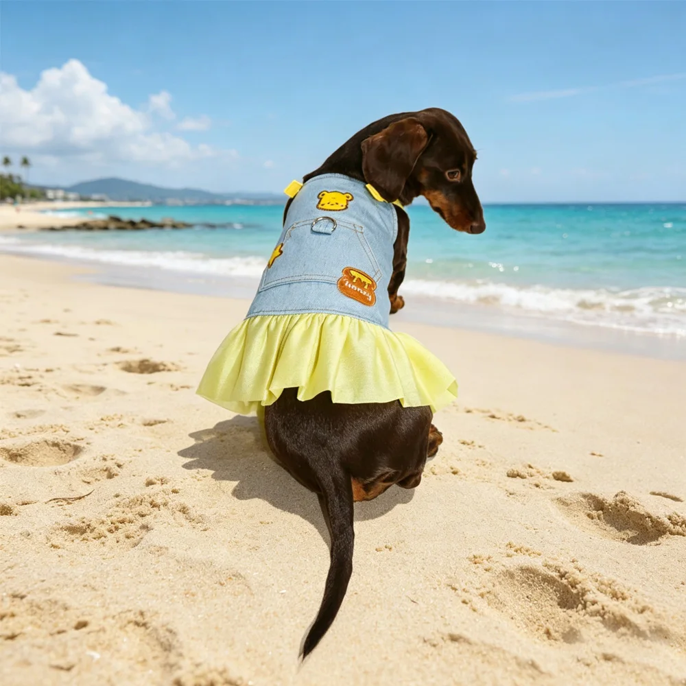 Vestido azul verano con encaje amarillo para perras pequeñas y medianas - imagen 3