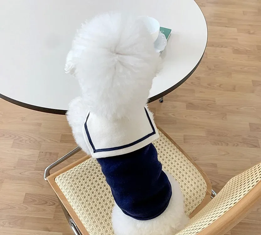 Chaleco de cuello azul marino para Mascotas, ropa de perro de dibujos animados, disfraz de gato, Labrador fino, bonito, azul oscuro, para niño y niña - imagen 4