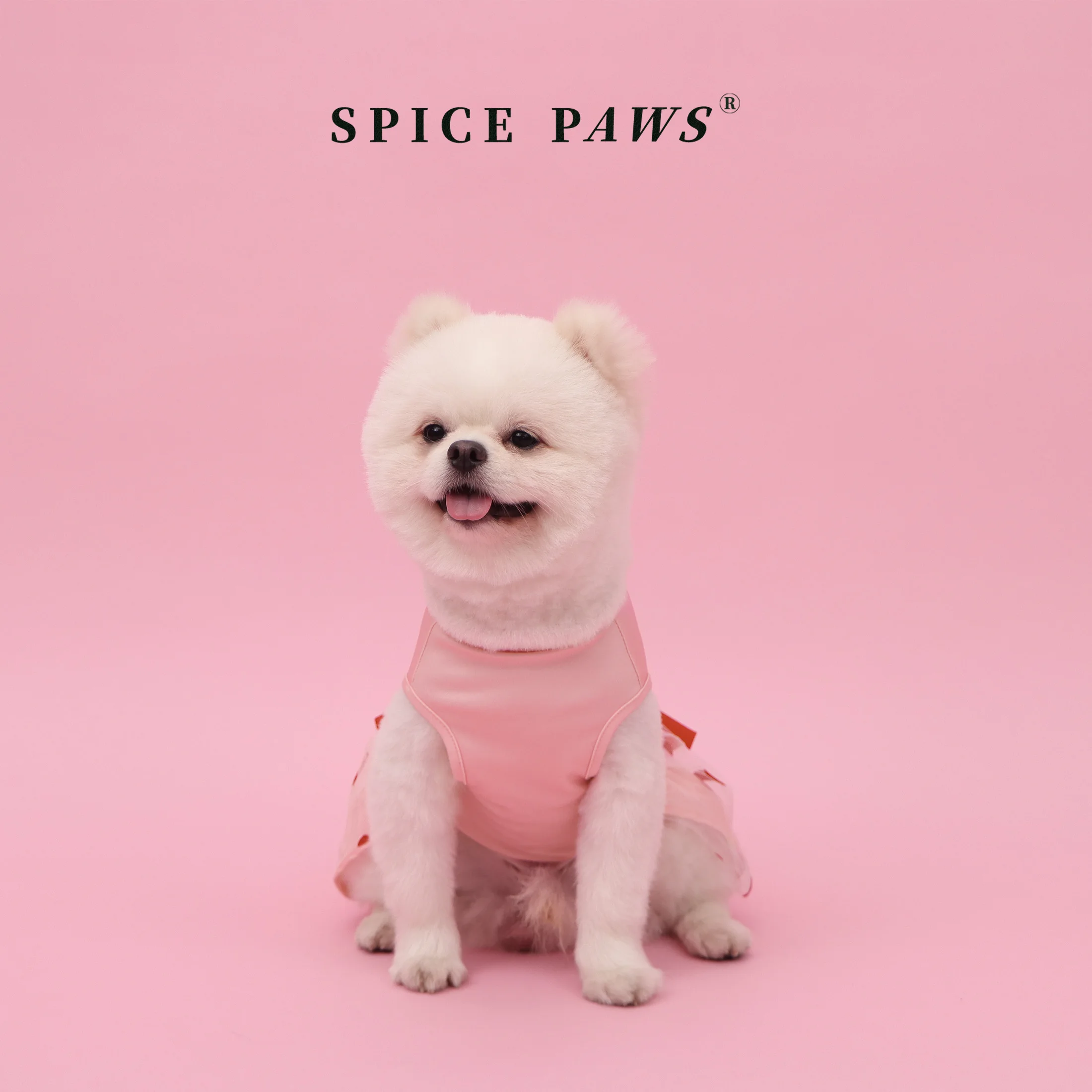 Vestido rosa con lazo San Valentín perros y gatos pequeños a medianos - imagen 5