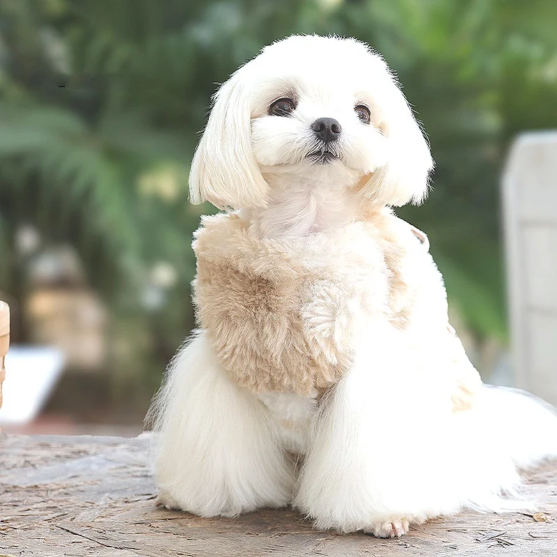 Chaleco de piel sintética degradada para mascotas, abrigo de invierno de lana para perros pequeños con lazo a cuadros y flor de perla, traje de felpa de invierno para perros rosa - imagen 3