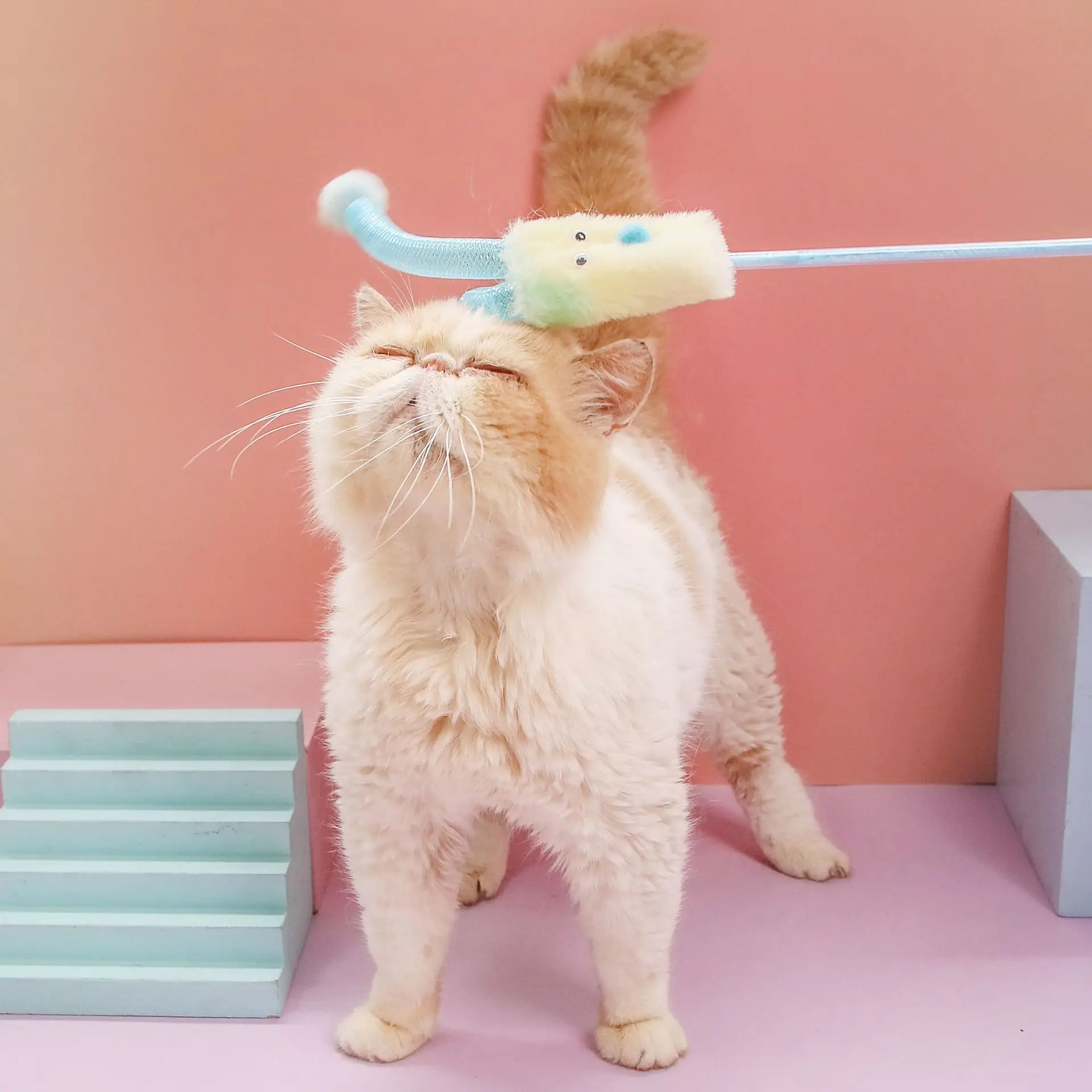 Palo de payaso bonito para mascotas, campana, juguete interactivo para gatos, suministros para mascotas, juguetes interactivos para gatos, productos accesorios interactivos para mascotas - imagen 4