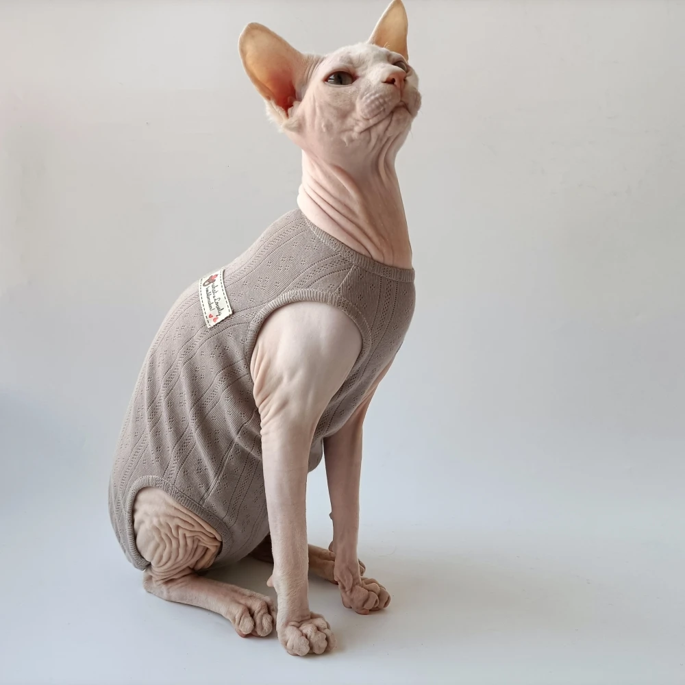 Ropa de verano para gatos Sphynx ropa de verano pijama de algodón de cuatro piernas herida de gato hembra desinfección antiácaros ropa de recuperación quirúrgica para gatitos devenrex ropa de cuerpo transpirable - imagen 4